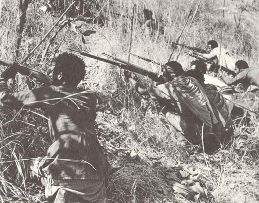 Ethiopian Guerillas Attacking Italian Fort