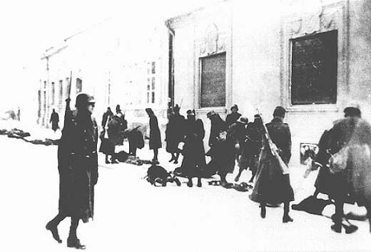 Hungarians Participate in Killing of Jews