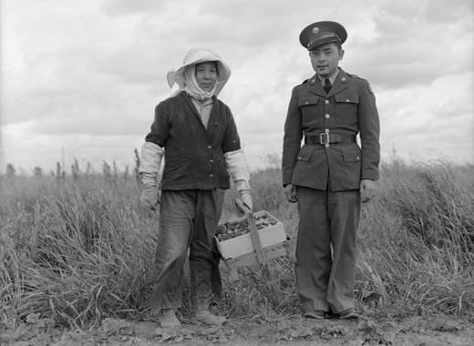 A Soldier and His Mother in a Strawberry Field