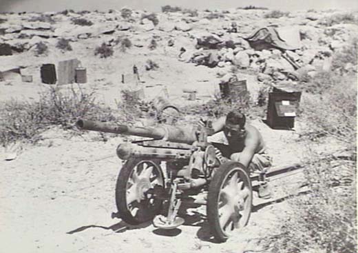 Captured German Gun Being Inspected