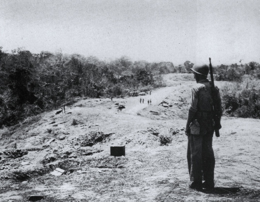 US Marine stands guard