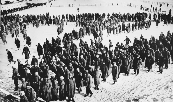 German Prisoners in Stalingrad