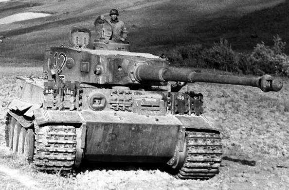 Tiger I Tank of 5th <i>Panzerarmee</i>