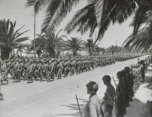 Victory Parade in Tunis