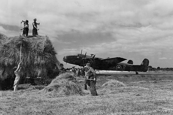 Groundcrew Assist a Local Farmer