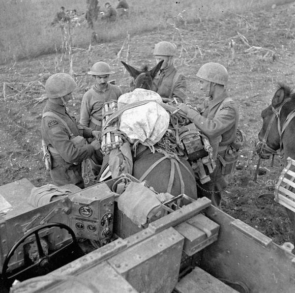 Canadian Soldiers Moving Supplies