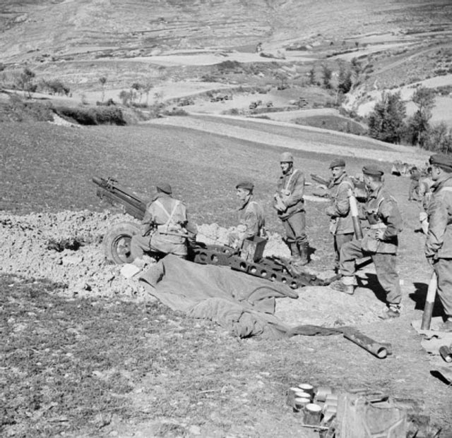 Artillery with the 5th Division