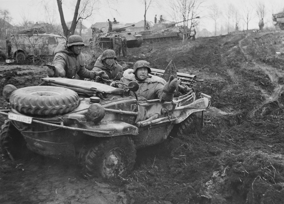 Panther Tanks Near Fastiv