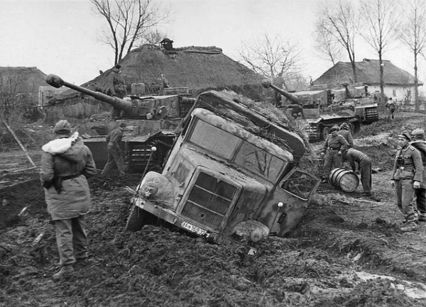 Tigers in the Mud near Vinnitsa