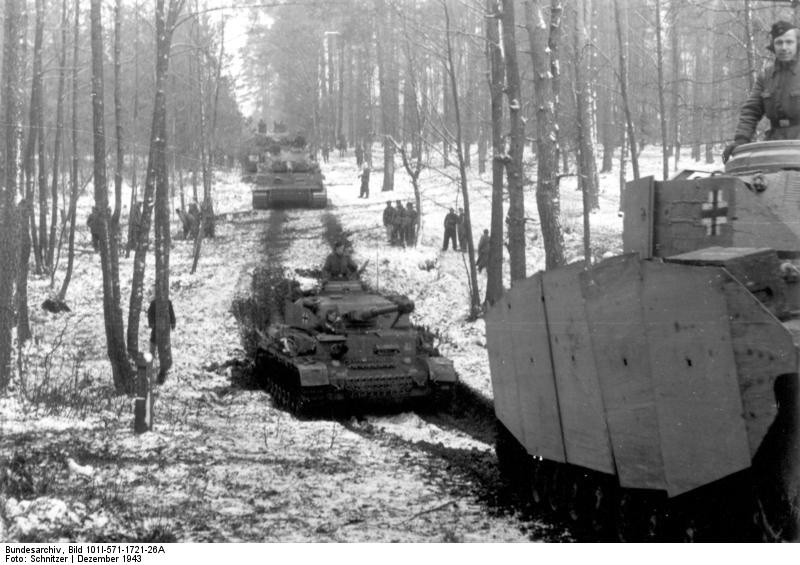 Tigers near Kirovohrad