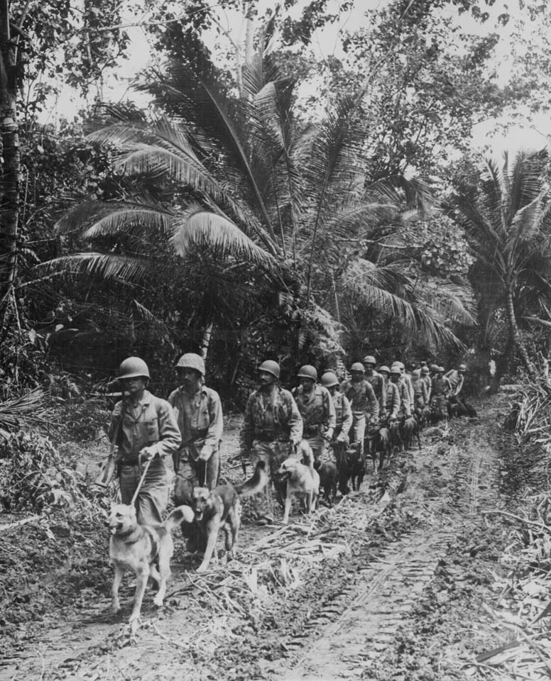 US Marine 'Raiders' on Bougainville