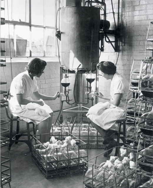 Manufacturing penicillin