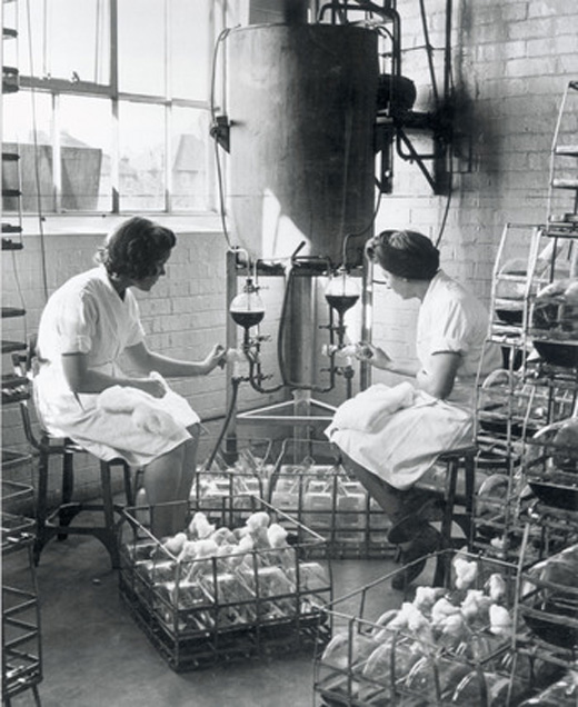 Manufacturing Penicillin