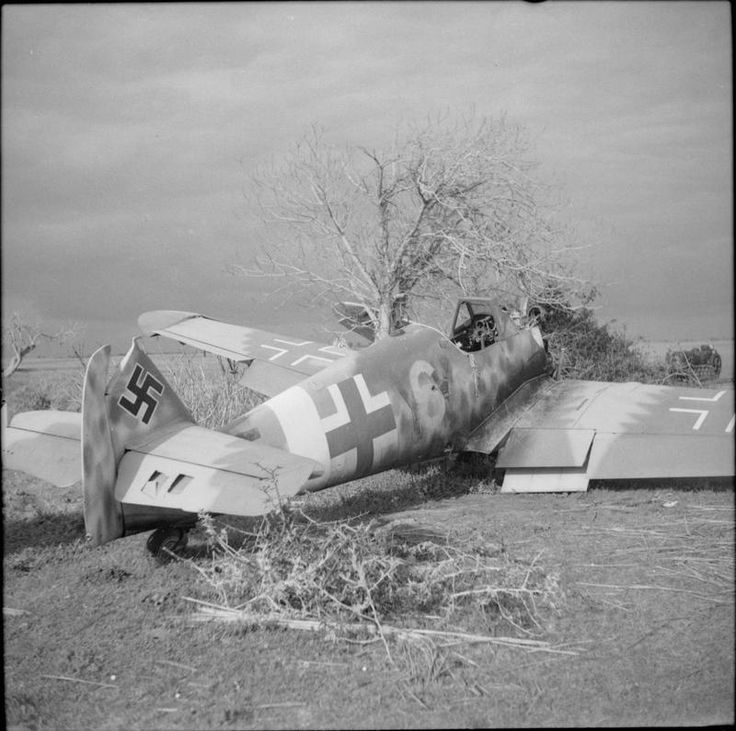 Shot Down German Fighter