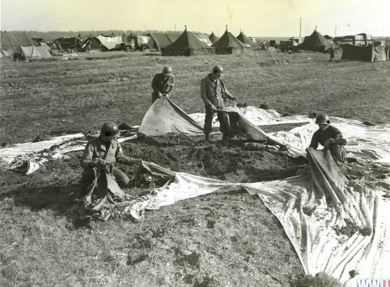 Examining a Red Cross Banner