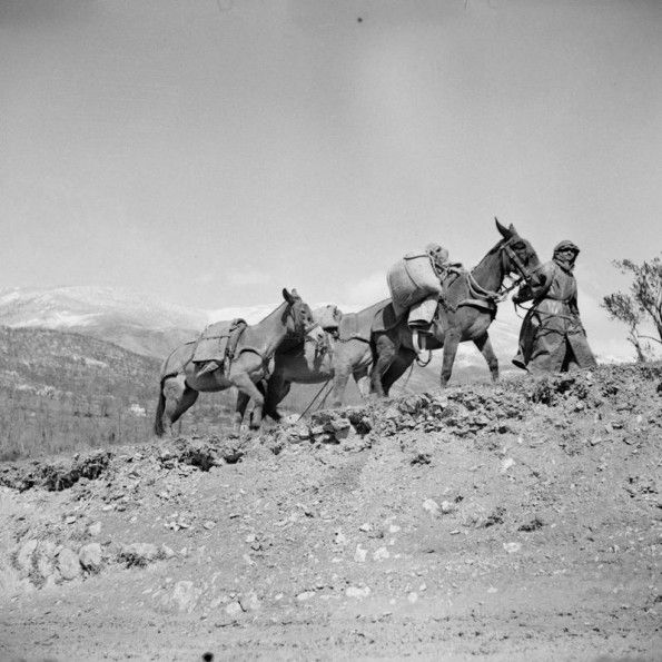 Into the Front Line in the Mountain Snow