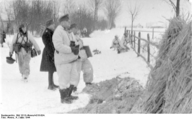 German soldiers in the Narva Campaign