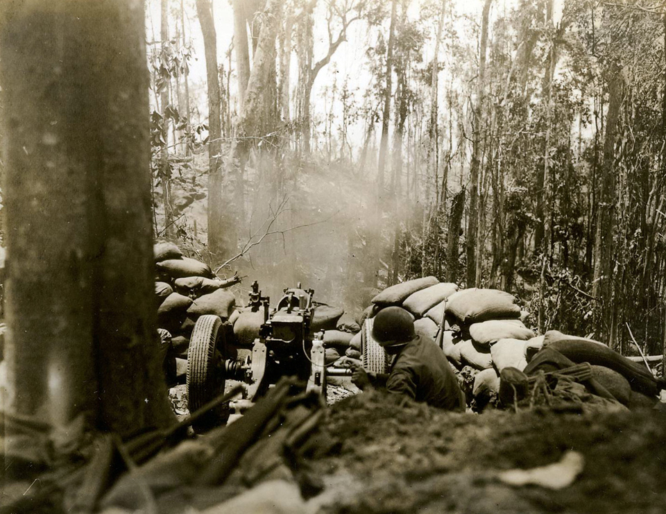 A 75-mm Cannon Mounted on a Hill