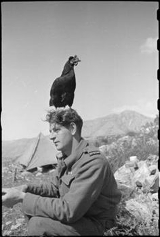 Lulu, Mascot of a Field Ambulance Dressing Station