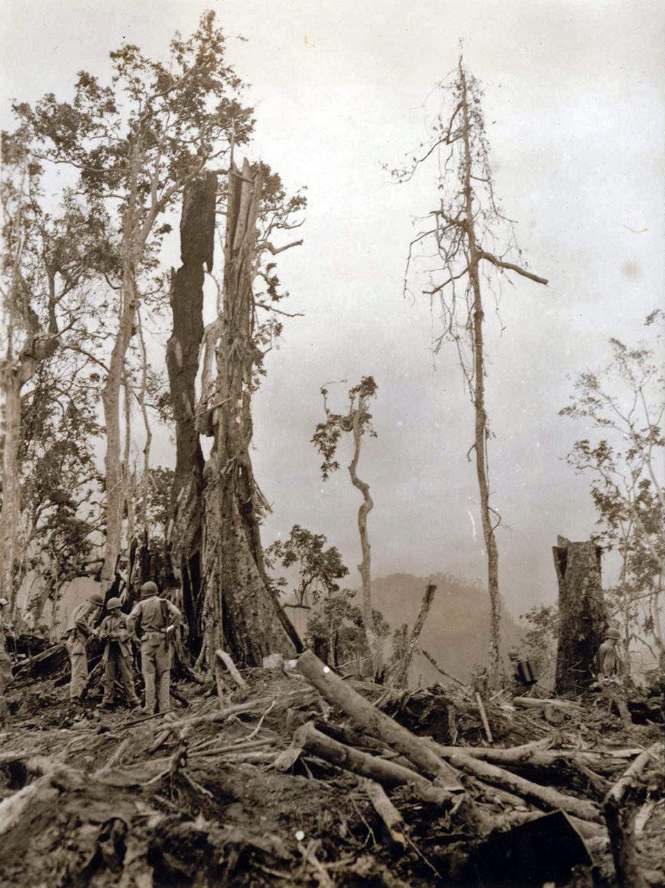 Banyan Tree Observation Post