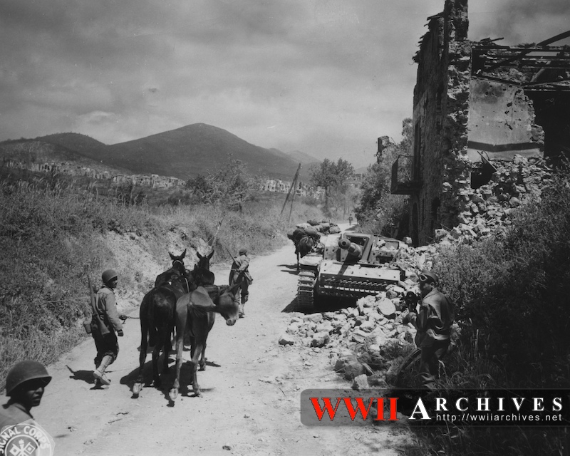 Mule Pack on way to the Front