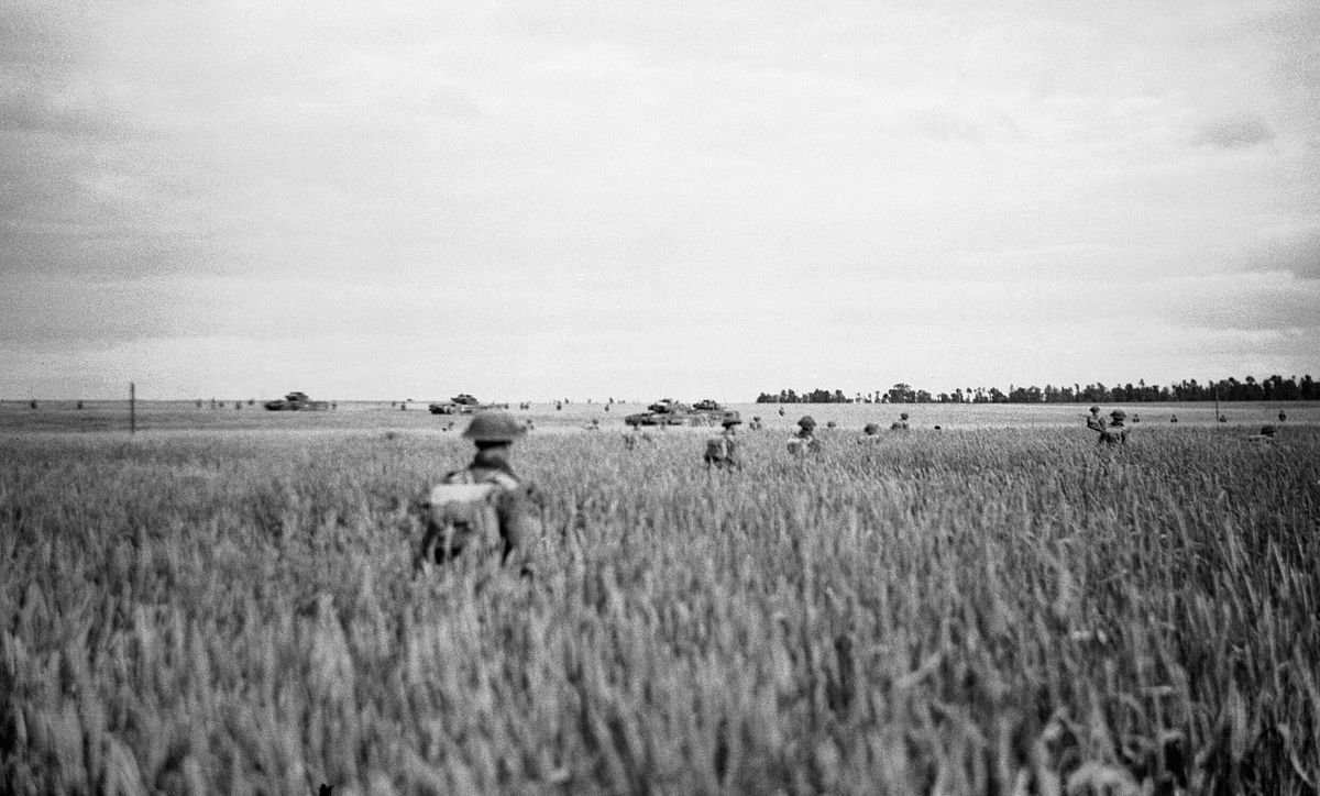 Advancing Through Waist-high Corn