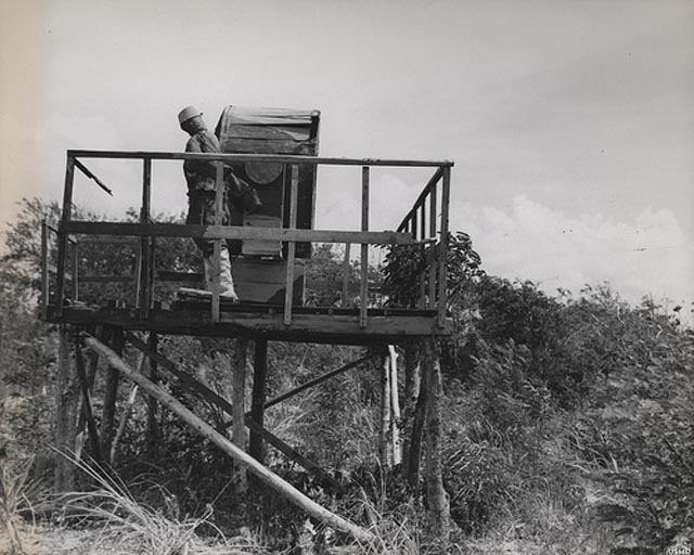 Dummy Positions of the Japanese