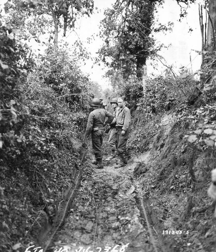 Battle of the Hedgerows