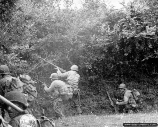 29th Infantry Division In Action