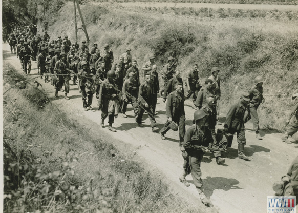 German Prisoners in Le Muy, France