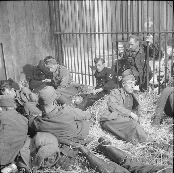 German POWs in Antwerp Zoo