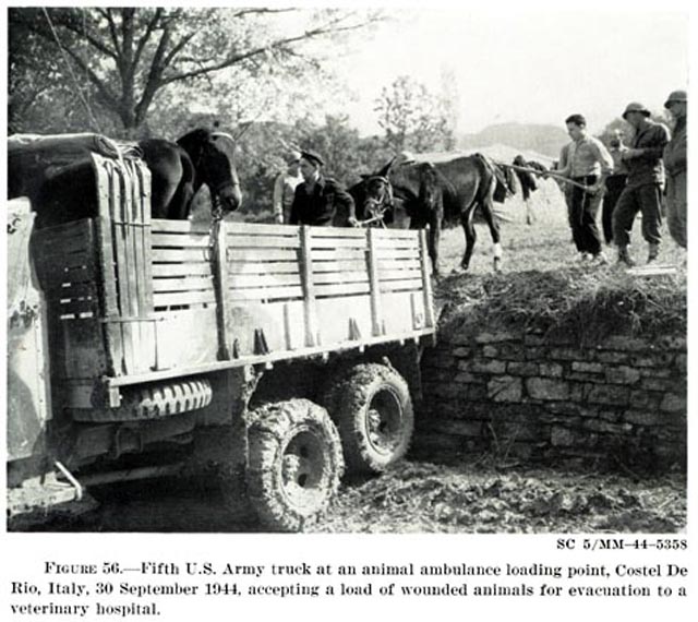 US 5th Army in Costel De Rio, Italy