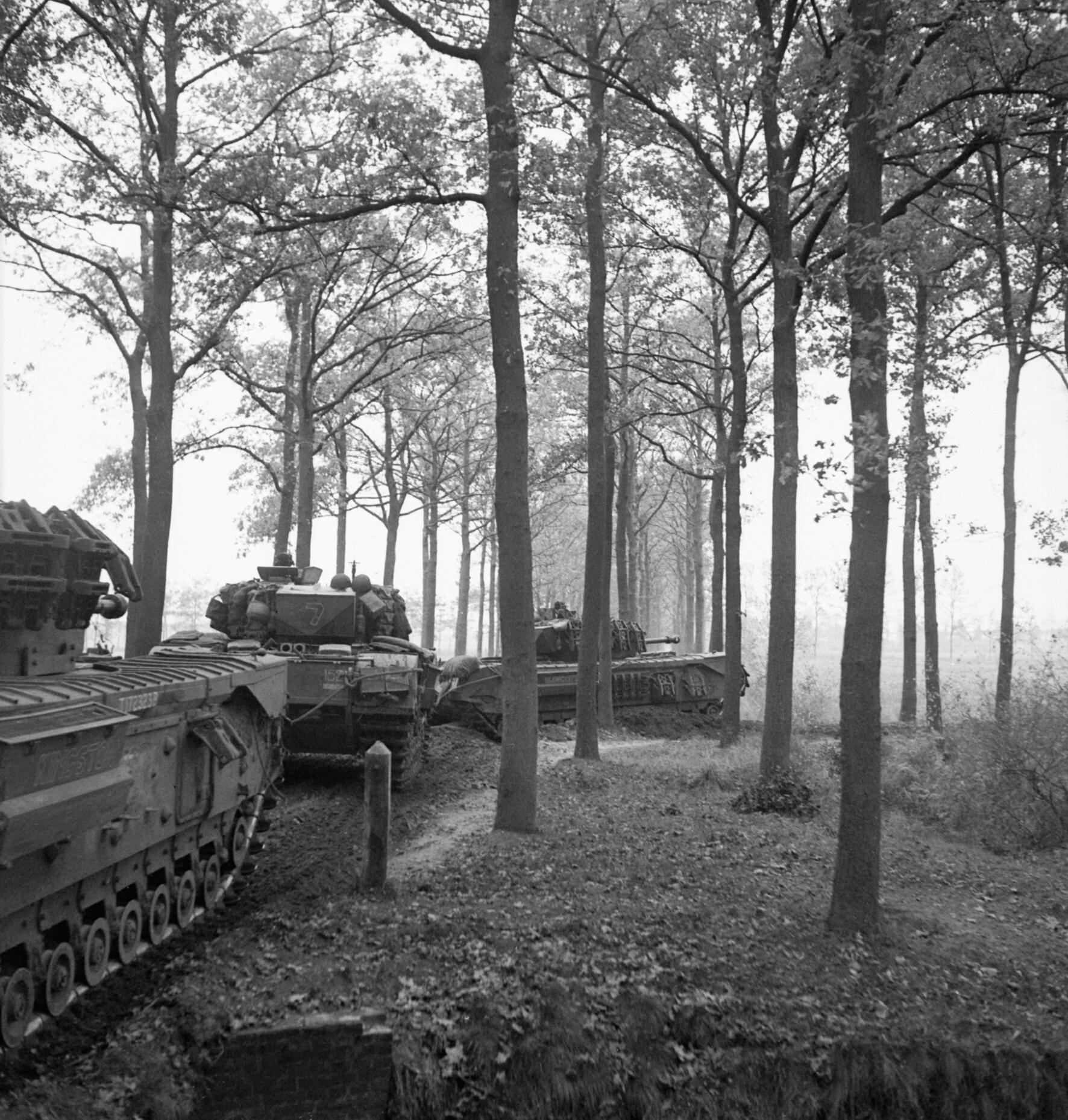 Churchill Tanks near Meijel