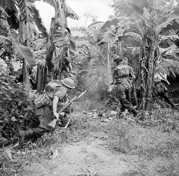 Advancing through a Banana Grove