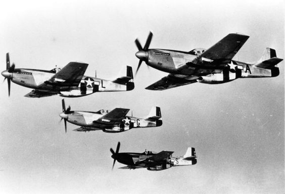 Mustangs in Flight