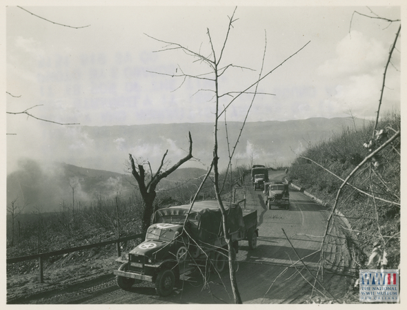 Convoy of Allied Trucks