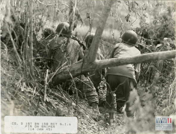 Co. D 1st Bn 158 RCT GIs Fire on Sniper