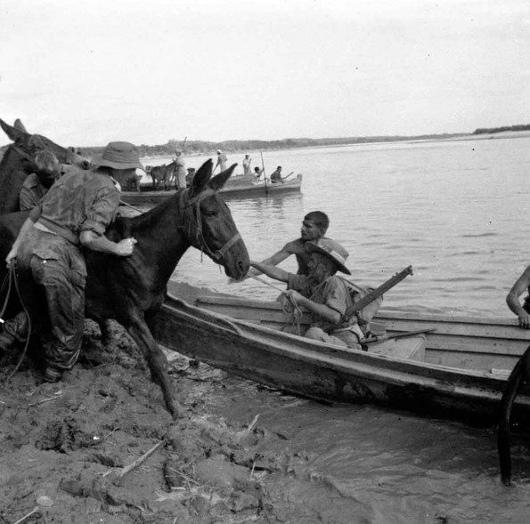 Indian Troops Coax Mules