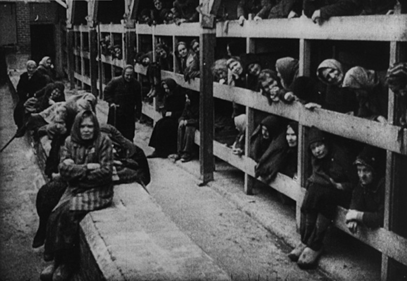 Female Inmates at Auschwitz