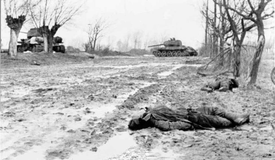 Battle Aftermath on the Eastern Front