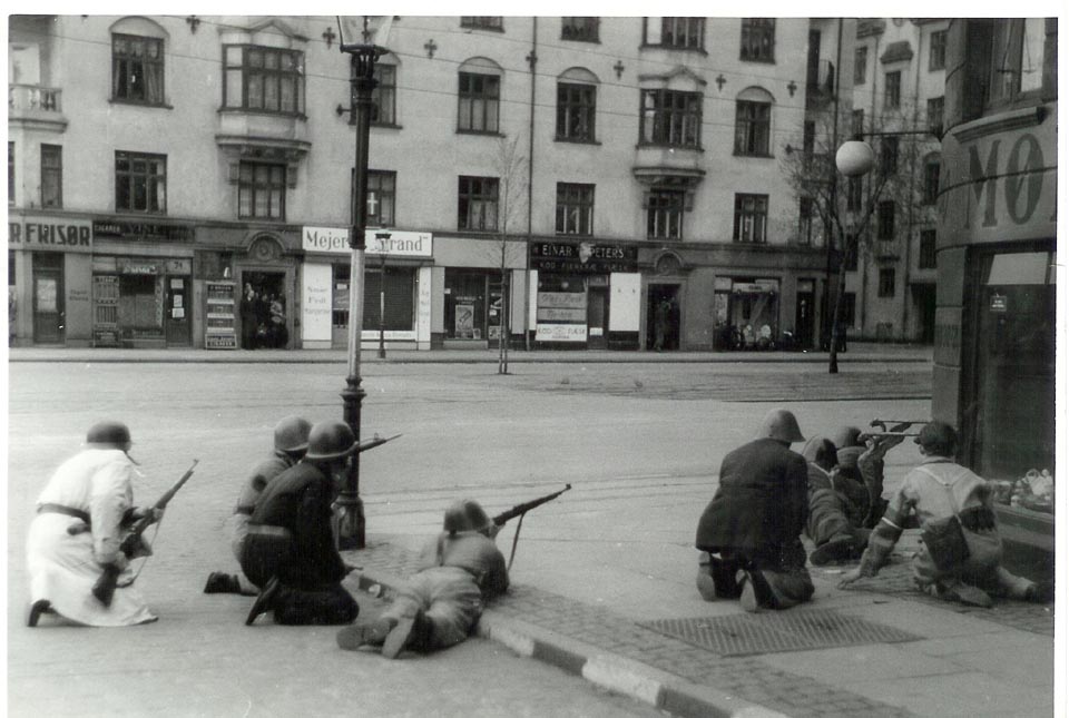 Danish Freedom Fighters