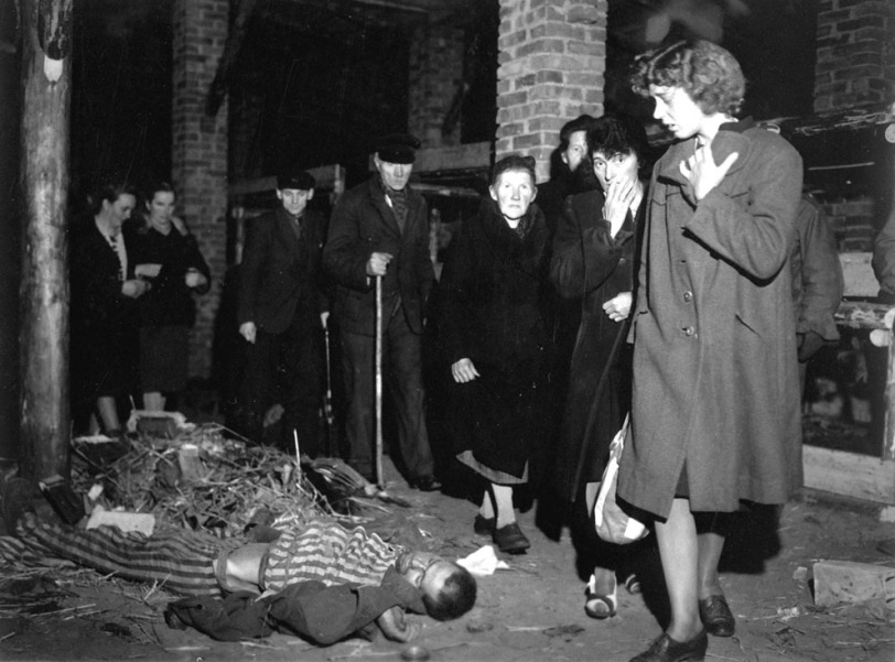 Germans Inspect Wöbbelin Concentration Camp