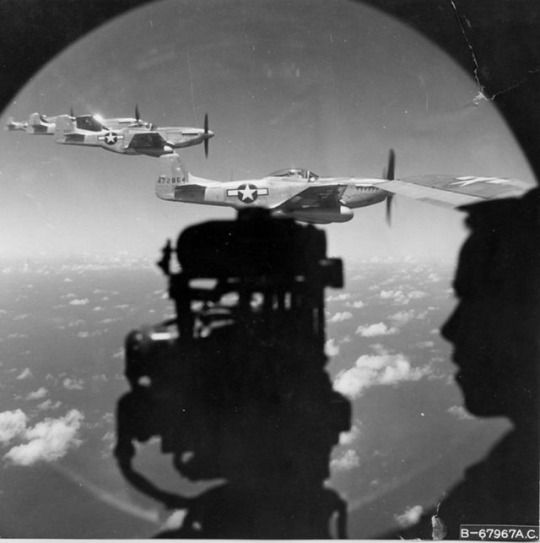 Mustangs Over Japan